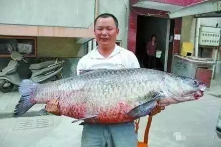 青鱼视频国产在线,国产在线影视盛宴,尽享视听盛宴